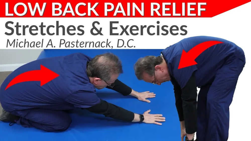 Low BACK PAIN Relief Stretches And Exercises [Demonstration]