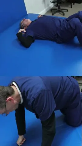 Top 3 LOWER BACK Exercises & Stretches